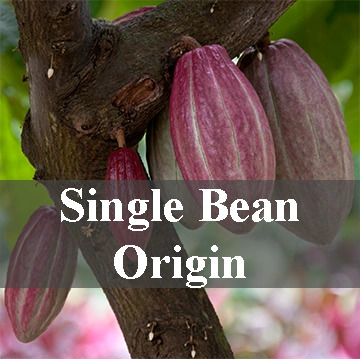 single bean origin